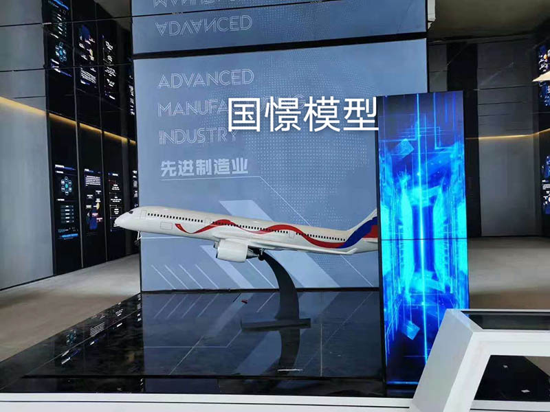 石屏县飞机模型